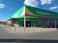 mujeres solteras en jesus maria